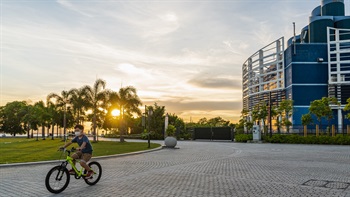 The wide open pathways allow for casual cycling.